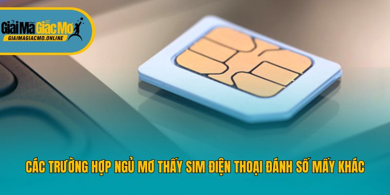 Các trường hợp ngủ mơ thấy sim điện thoại đánh số mấy khác