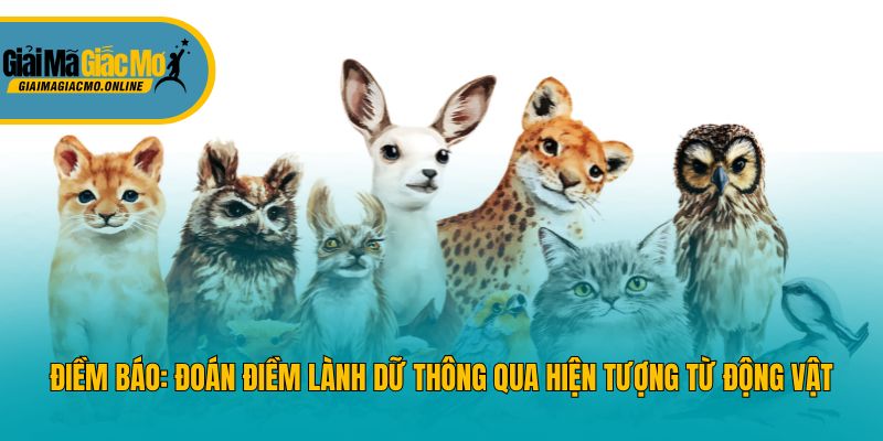 Điềm báo: Đoán điềm lành dữ thông qua hiện tượng từ động vật