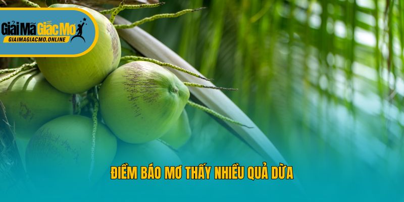 Điềm báo mơ thấy nhiều quả dừa