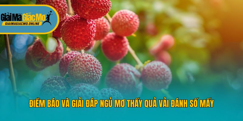 Điềm báo và giải đáp ngủ mơ thấy quả vải đánh số mấy