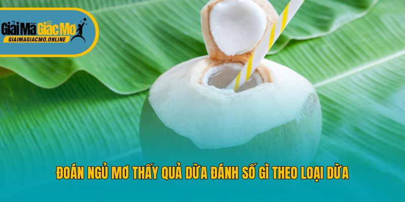 Đoán ngủ mơ thấy quả dừa đánh số gì theo loại dừa