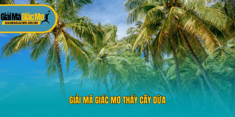 Giải mã giấc mơ thấy cây dừa