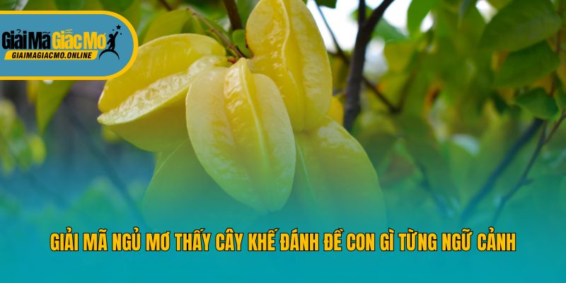 Giải mã ngủ mơ thấy cây khế đánh đề con gì từng ngữ cảnh