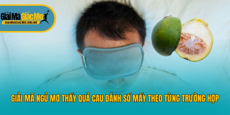 Giải Mã Ngủ Mơ Thấy Quả Cau Đánh Số Mấy Theo Từng Trường Hợp