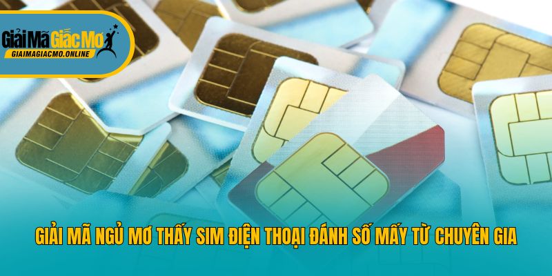 Giải mã ngủ mơ thấy sim điện thoại đánh số mấy từ chuyên gia
