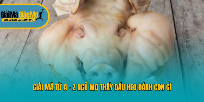 Giải mã từ A - Z ngủ mơ thấy đầu heo đánh con gì