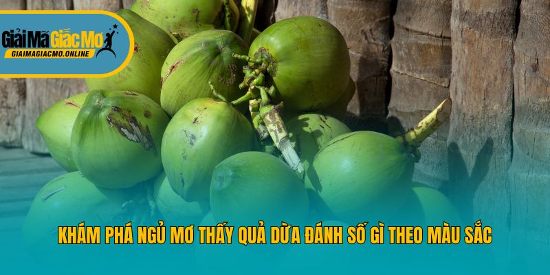 Khám phá ngủ mơ thấy quả dừa đánh số gì theo màu sắc