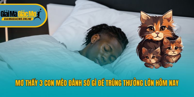 Mơ Thấy 3 Con Mèo Đánh Số Gì Để Trúng Thưởng Lớn Hôm Nay