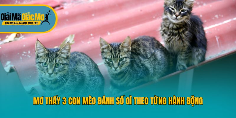 Mơ thấy 3 con mèo đánh số gì theo từng hành động