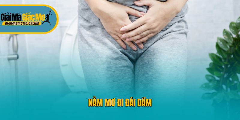 Nằm mơ đi đái dầm
