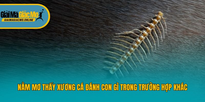 Nằm mơ thấy xương cá đánh con gì trong trường hợp khác