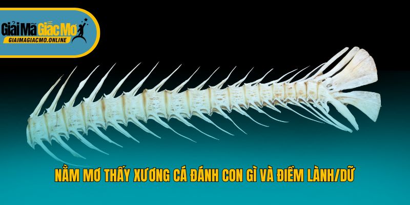 Nằm Mơ Thấy Xương Cá Đánh Con Gì Và Điềm Báo Tương Lai