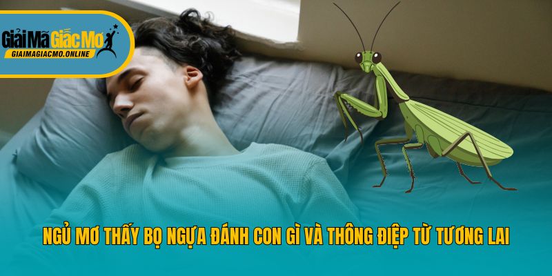 Ngủ Mơ Thấy Bọ Ngựa Đánh Con Gì Và Thông Điệp Từ Tương Lai