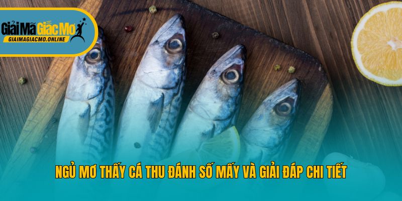 Ngủ mơ thấy cá thu đánh số mấy và giải đáp chi tiết