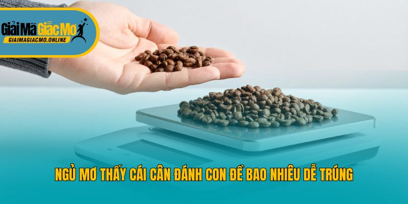 Ngủ mơ thấy cái cân đánh con đề bao nhiêu dễ trúng