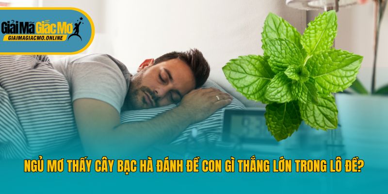 Ngủ Mơ Thấy Cây Bạc Hà Đánh Đề Con Gì Thắng Lớn Trong Lô Đề?
