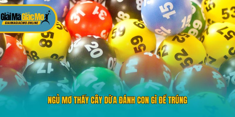 Ngủ mơ thấy cây dừa đánh con gì để trúng