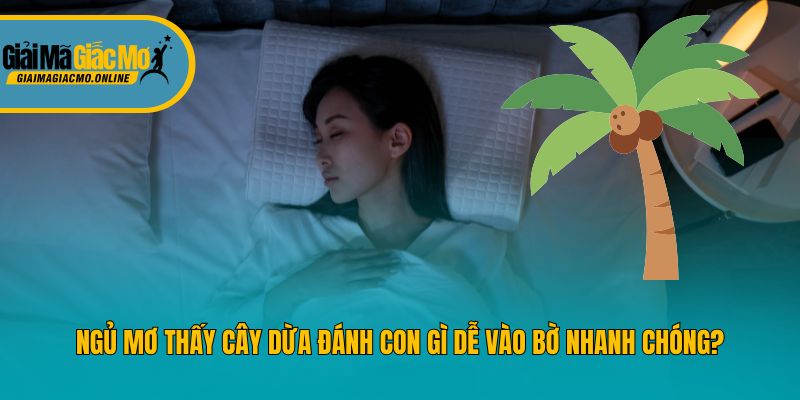 Ngủ Mơ Thấy Cây Dừa Đánh Con Gì Dễ Vào Bờ Nhanh Chóng?