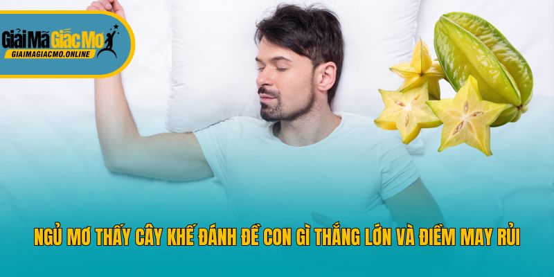 Ngủ Mơ Thấy Cây Khế Đánh Đề Con Gì Thắng Lớn Và Điềm May Rủi