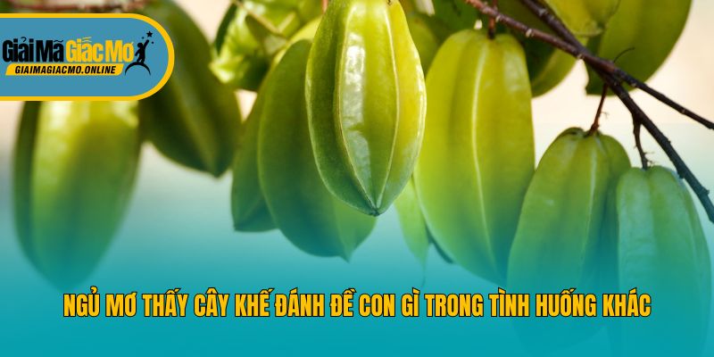 Ngủ mơ thấy cây khế đánh đề con gì trong tình huống khác