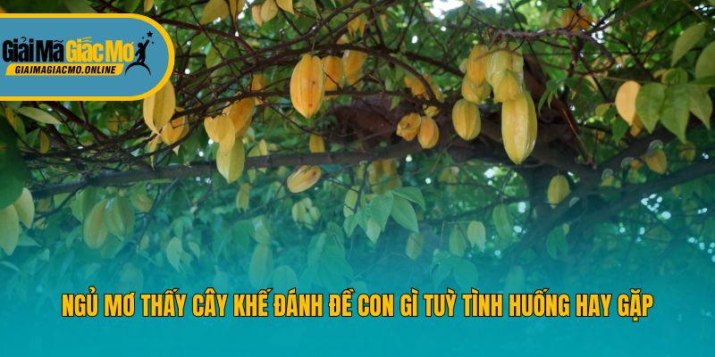 Ngủ mơ thấy cây khế đánh đề con gì tuỳ tình huống hay gặp