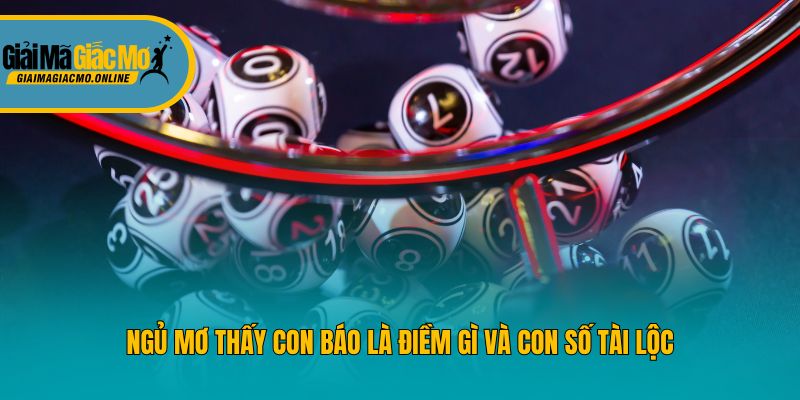 Ngủ mơ thấy con báo là điềm gì và con số tài lộc