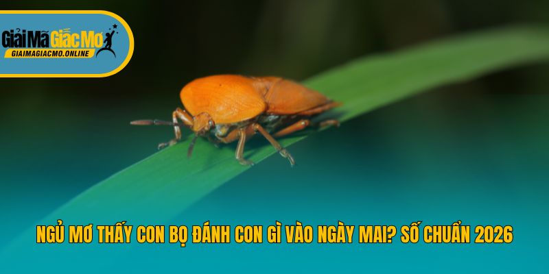 Ngủ Mơ Thấy Con Bọ Đánh Con Gì Vào Ngày Mai? Số Chuẩn 2026