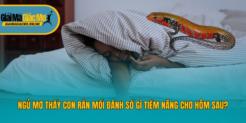 Ngủ Mơ Thấy Con Rắn Mối Đánh Số Gì Tiềm Năng Cho Hôm Sau?