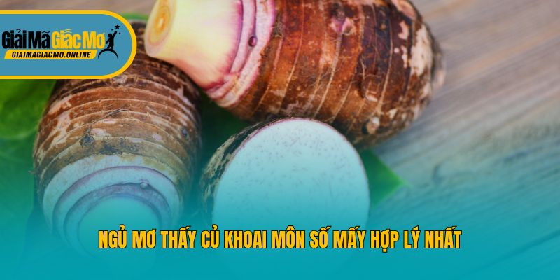 Ngủ mơ thấy củ khoai môn số mấy hợp lý nhất