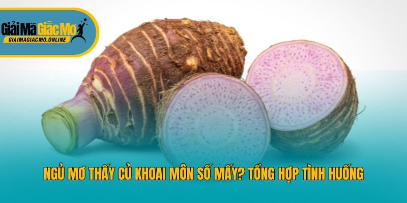 Ngủ Mơ Thấy Củ Khoai Môn Số Mấy? Tổng Hợp Tình Huống
