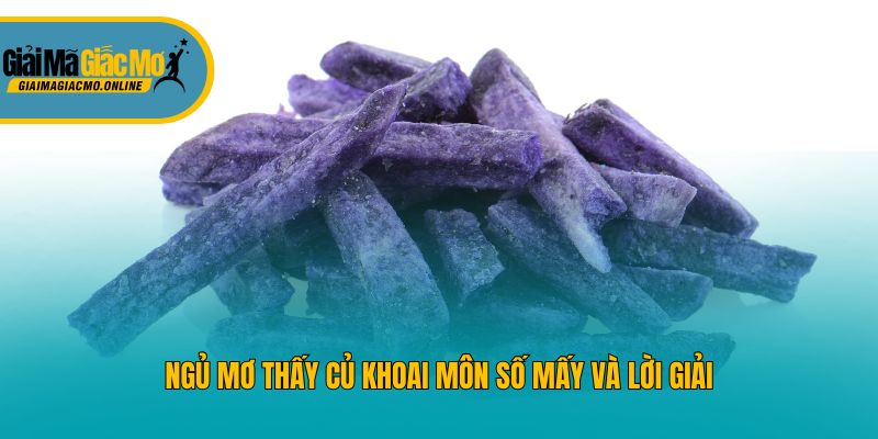 Ngủ mơ thấy củ khoai môn số mấy và lời giải