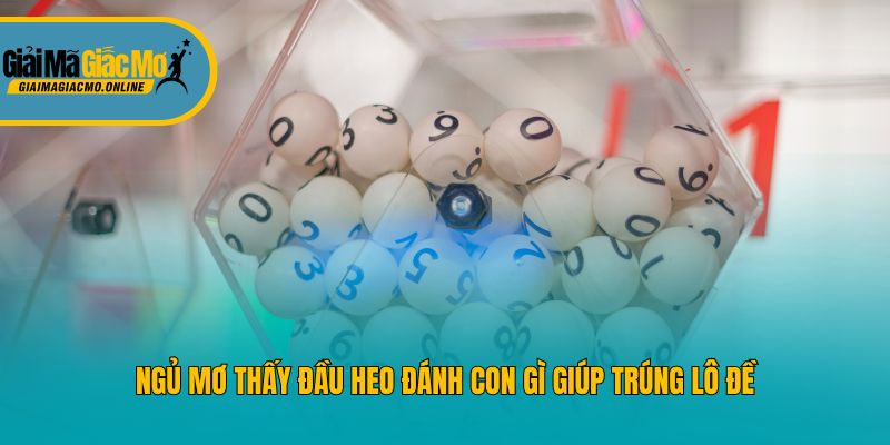 Ngủ mơ thấy đầu heo đánh con gì giúp trúng lô đề