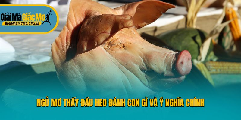 Ngủ mơ thấy đầu heo đánh con gì và ý nghĩa chính
