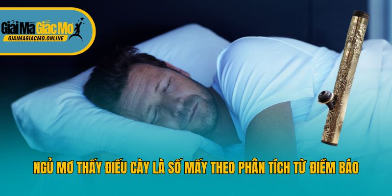 Ngủ Mơ Thấy Điếu Cày Là Số Mấy Theo Phân Tích Từ Điềm Báo