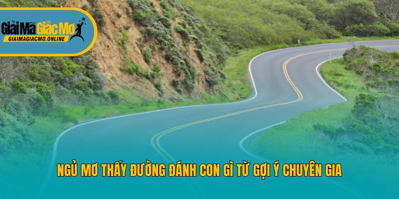 Ngủ mơ thấy đường đánh con gì từ gợi ý chuyên gia