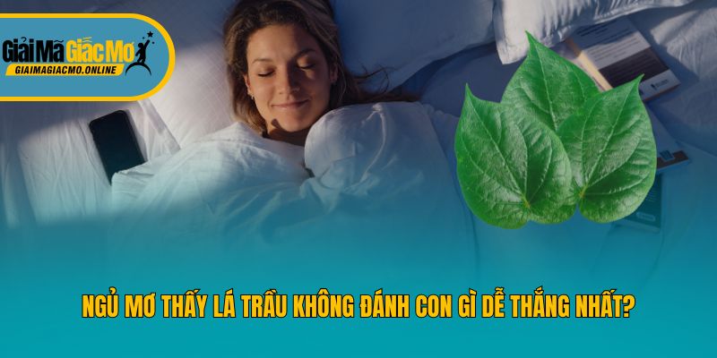 Ngủ Mơ Thấy Lá Trầu Không Đánh Con Gì Dễ Thắng Nhất?