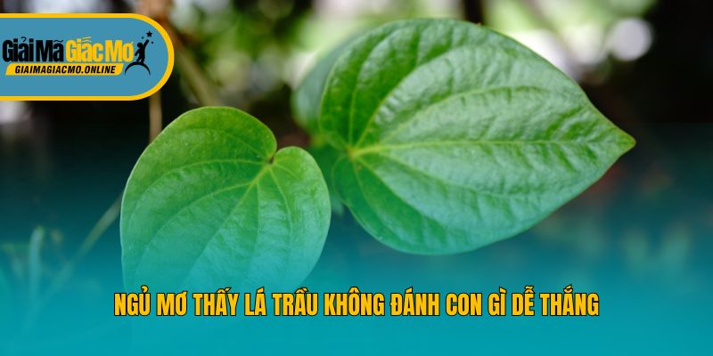 Ngủ mơ thấy lá trầu không đánh con gì dễ thắng