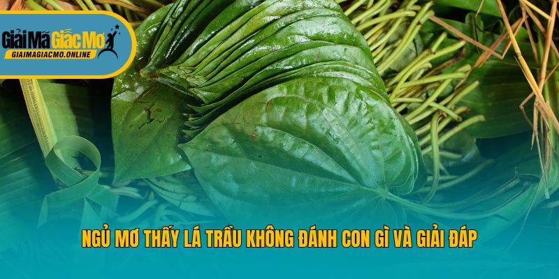 Ngủ mơ thấy lá trầu không đánh con gì và giải đáp