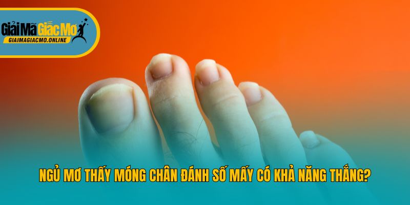 Ngủ mơ thấy móng chân đánh số mấy có khả năng thắng?