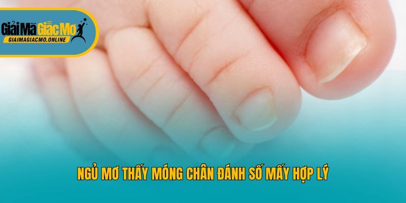 Ngủ mơ thấy móng chân đánh số mấy hợp lý