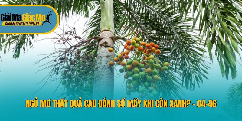 Ngủ mơ thấy quả cau đánh số mấy khi còn xanh? - 04-46