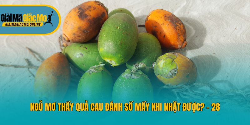 Ngủ mơ thấy quả cau đánh số mấy khi nhặt được? - 28