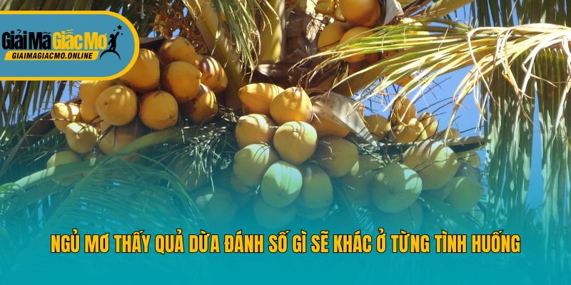 Ngủ mơ thấy quả dừa đánh số gì sẽ khác ở từng tình huống