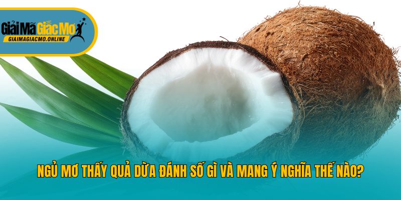 Ngủ Mơ Thấy Quả Dừa Đánh Số Gì Và Mang Ý Nghĩa Thế Nào?