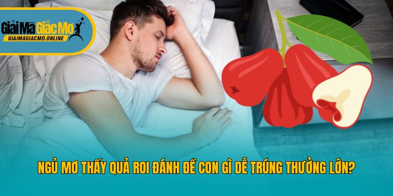 Ngủ Mơ Thấy Quả Roi Đánh Đề Con Gì Dễ Trúng Thưởng Lớn?