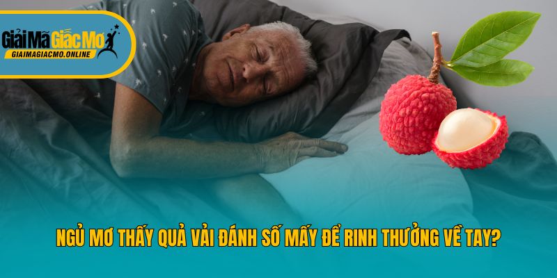 Ngủ Mơ Thấy Quả Vải Đánh Số Mấy Để Rinh Thưởng Về Tay?