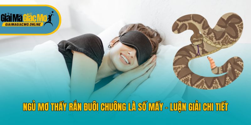Ngủ Mơ Thấy Rắn Đuôi Chuông Là Số Mấy - Luận Giải Chi Tiết