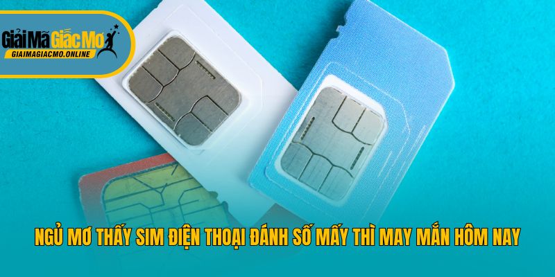 Ngủ Mơ Thấy Sim Điện Thoại Đánh Số Mấy Thì May Mắn Hôm Nay