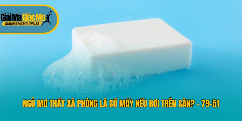 Ngủ mơ thấy xà phòng là số mấy nếu rơi trên sàn? - 79-51