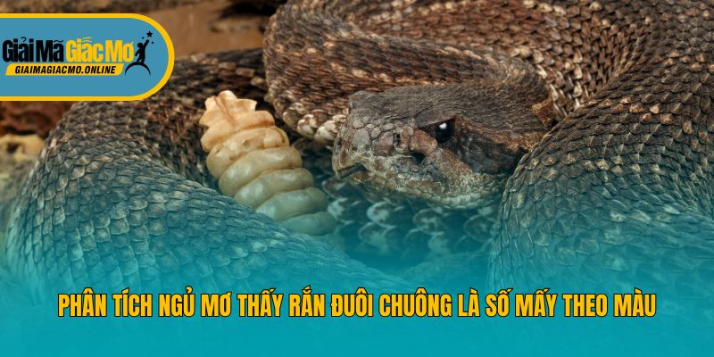 Phân tích ngủ mơ thấy rắn đuôi chuông là số mấy theo màu